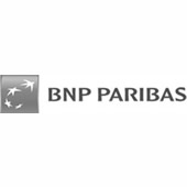 Bnp Baripas