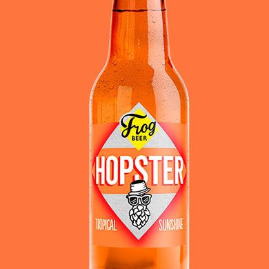 HOPSTER (12 x 33cl bouteille)