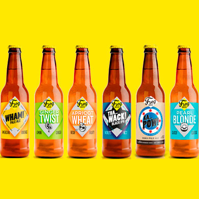 COFFRET DÉCOUVERTE FROGBEER (12 x 33cl bouteille)