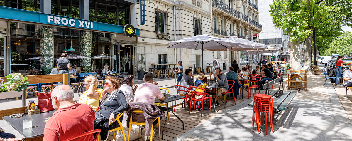 Pictures of FROG XVI